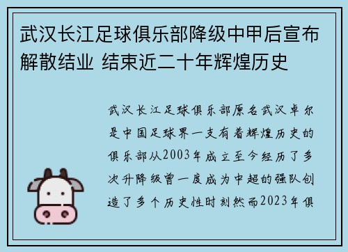 武汉长江足球俱乐部降级中甲后宣布解散结业 结束近二十年辉煌历史